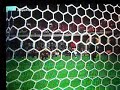 alex motinha e seus belos gols no PS2.wmv