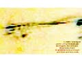 Space UFO footage March 2008 Many Unidentified Space Objects