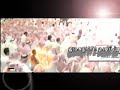 3GP Video Format