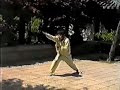 fu Wu