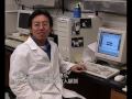 本片純粹作為音樂研究，創作無疆界，並無歧視任何地域女性，搞笑，請以平常心看待。作曲：鄭智化作詞：Richard Billyham來吹喇叭台灣妹張開嘴巴台灣女生張開了雞巴淫水不斷下好色的我喜歡台灣妹夠下賤不用給錢光著屁股免費讓我插台灣女生不用來給錢趕快去操她衣服已脫去胸罩摘去操她的媽媽她的陰道長滿了性病還有菜花不想去操她偏偏幹今天笑哈哈我要操你媽張開孔讓我捅來幹炮不要怕我要插得你開花我要操你媽張開孔不會痛台灣妹不要怕讓我插我操了她人人笑我是傻瓜雞巴裡頭長了菜花沒有人願插我不害怕台灣女生讓我插不要戴套高潮來到幹炮不用怕Download link:http://www.sendspace.com/file/cdjl3q