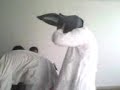 burro conxetumare