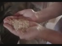 Alegres Vegetarianos 4 - Arroz Integral