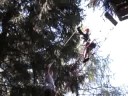 Kletterwald Sch�neck 2008