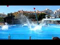 Dolphins at Selwo Marina - Benalmadena