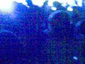 26112008(004)