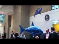 Видео Электронные игрушки  Летающие рыбы Air Swimmers