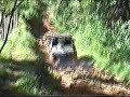 4x4   toyota   land   cruiser   80   serie   hilux   m