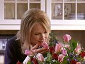 oasis-nasal-spray-the-non-addictive-dead-sea-salt-solution.html