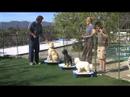 Teaching \"place\" to Dogs & Kids