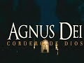 Agnus Dei (Cordero de Dios) es un documental que denuncia a un sacerdote pederasta y al mismo tiempo es una mirada a la iglesia y sus pecados. Agnus Dei tiene como protagonista a Jesús Romero Colín quien fue víctima sexual de un sacerdote (Carlos López Valdés), el cual sigue oficiando misa sin problema alguno y, denuncia la cinta, está protegido por la Iglesia, que conoce la conducta del cura. Un momento clave de Agnus Dei es cuando Jesús encuentra a su agresor y logra tener un encuentro con el sacerdote para pedirle una explicación por sus acciones.