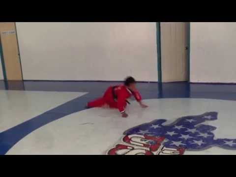 USA Martial Arts (Allerton)- Jason and Dixon flipping