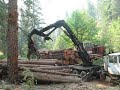 hauling logs hauling logs