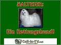 9LIVE - ARMES DEUTSCHLAND III - CALL-IN-TV.NET 9LIVE - ARMES DEUTSCHLAND III - CALL-IN-TV.NET