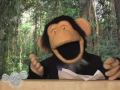 Monkey News Source Monkey News Source