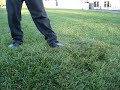 Grass Blister!!! #2 Grass Blister!!! #2