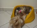 Margot e Julie - brincando de cavar a casinha.