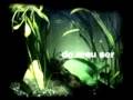 SK6 - combustão espontânea