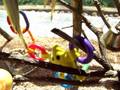 Cockatiels Homemade Bottlebrush Tree Play Stand