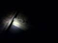 AREA 107.9 Ghosthunt - Bonnie Screams Wax Museum pt.1