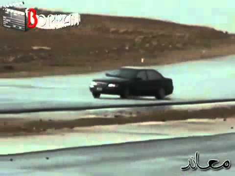 حصان ينيك بنت