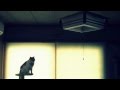 gato magaiver