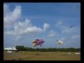 Azemi at Pasir Gudang Kite Festival