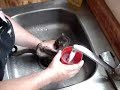 Baby Kinkajou gets a bath