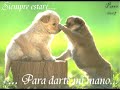 Voy a Conkistar Tu Amor