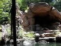 Adventureland at Disneyland, CA Adventureland at Disneyland, CA
