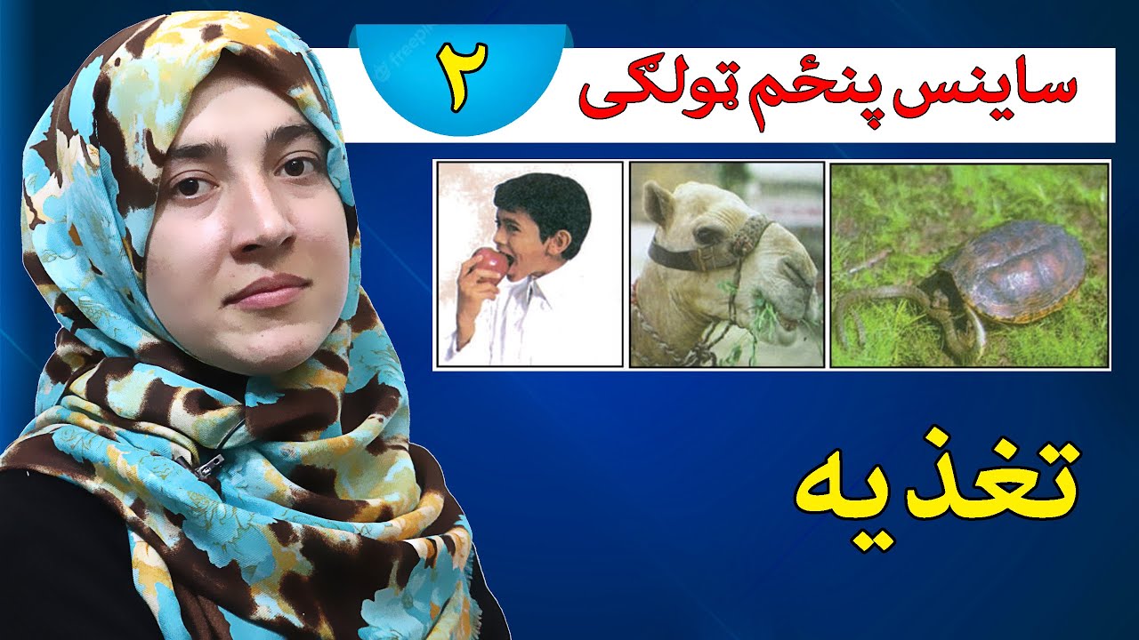 Class 5 - Science| Nutrition | How to have a healthy diet?