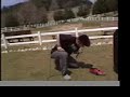 ガガガsp 全国無責任時代