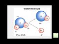 Chemical Composition of the Body (Examville.com)