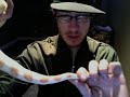 My Kahl Albino Boa Constrictor