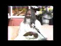 1. Buckminster Fuller and Maharishi Mahesh Yogi Part One of Press Conference