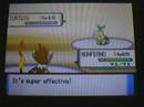 Pokemon Diamond/Pearl (second) gym battle: Gardenia