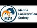 Re: Endangered animals comp
