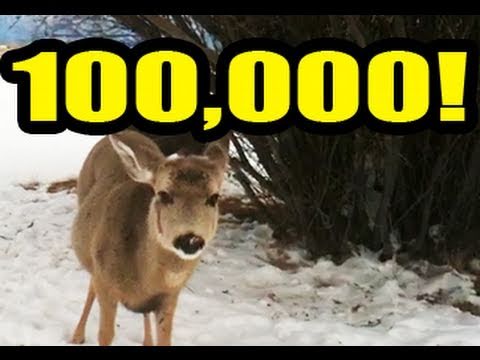 100000 SUBSCRIBERS!! (9 months ago)