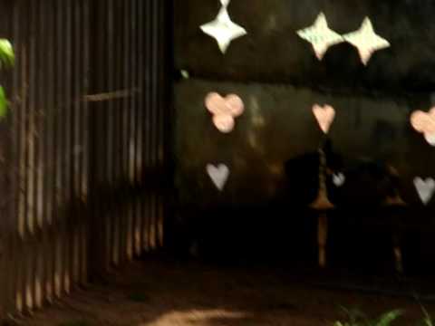 MOV01441