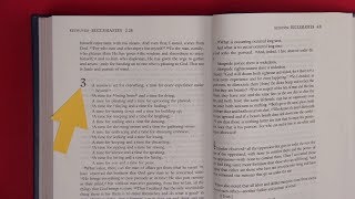 How to Write an Animation Script