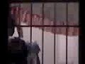Espiando a La Vecina Recargado