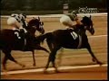Secretariat A Moment of Eternity