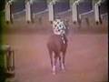 Secretariat A Moment of Eternity