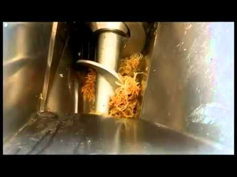 how to fertilize aloe vera