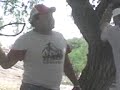 TV VISION la pelicula 5/7