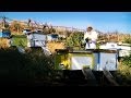 Видео - Пчеловодство в России