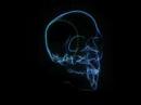 SkullScan SkullScan