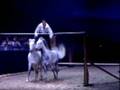 HOP TOP Show Cavaluna auf der EQUITANA 2007