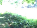 DriveAbout 110 - Redwood National Park, CA