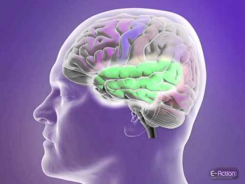 Classification of Epileptic Seizures